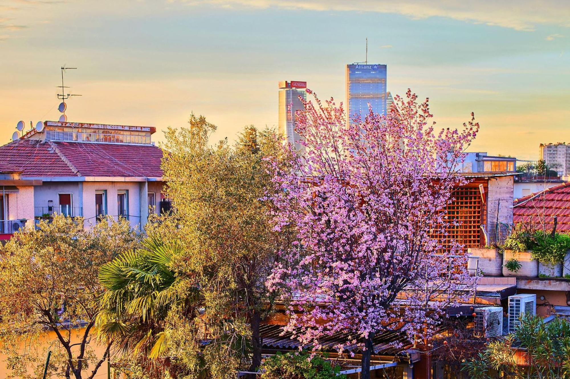 Sant'Ambrogio Charme Apartment Μιλάνο Εξωτερικό φωτογραφία
